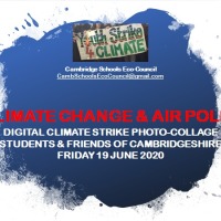 Digital Climate Change Strikes
